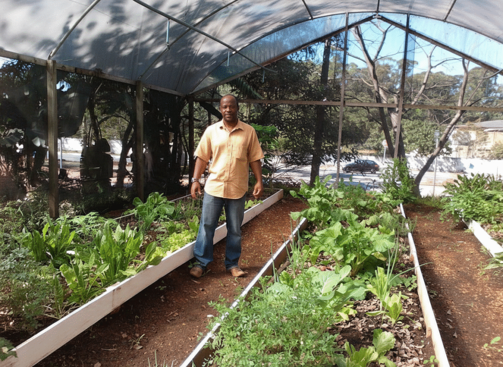 cultivo plantas